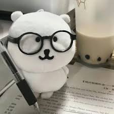 自嘲熊
